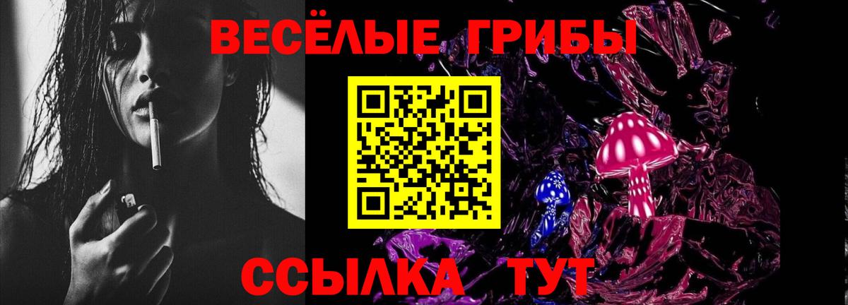Псилоцибиновые грибы GOLDEN TEACHER  Вход с VPN  Галлюциногенные грибы мухоморы  Спасск-Дальний 